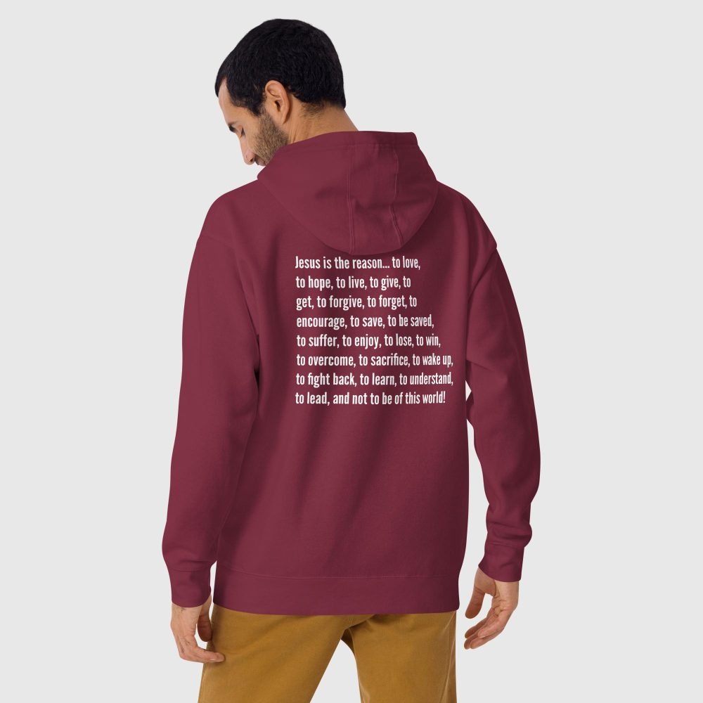 unisex premium hoodie maroon back 65e571489e619