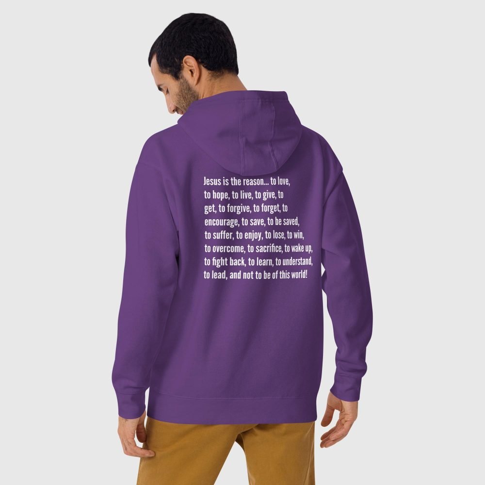 unisex premium hoodie purple back 65e571489c1f3